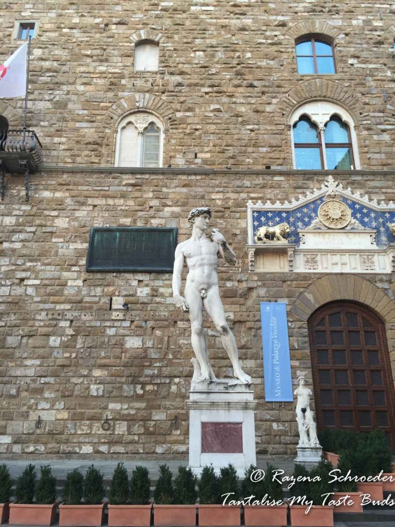 Michelangelo's David statue copy on Piazza della Signora