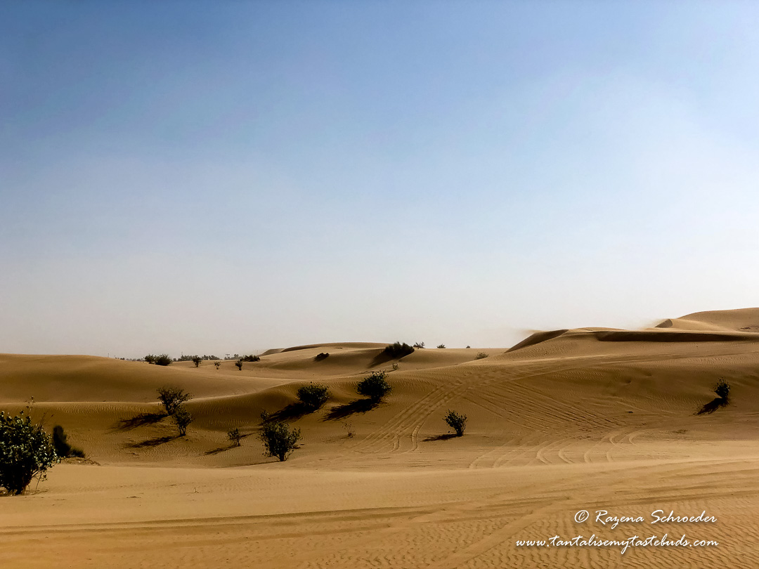 Expat life in Dubai - Desert