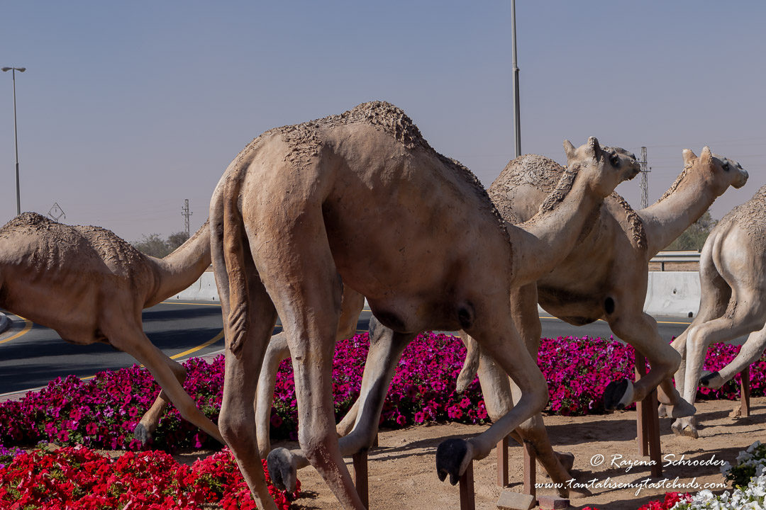 Camel monument outside Dubai Camel Hospital