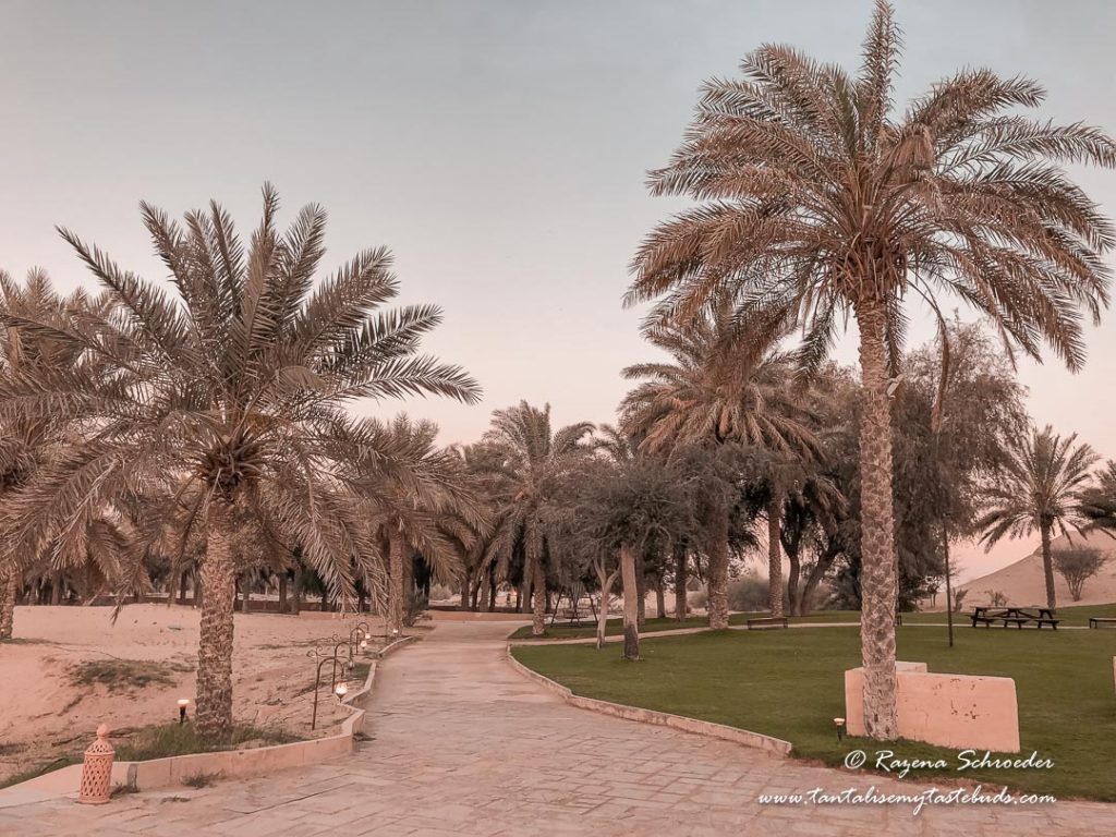 Dubai Evening Desert Safari