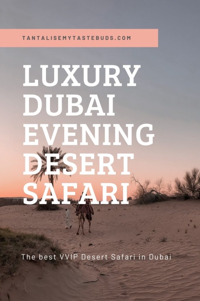 Luxury Dubai evening desert safari pin 2 with camel rides