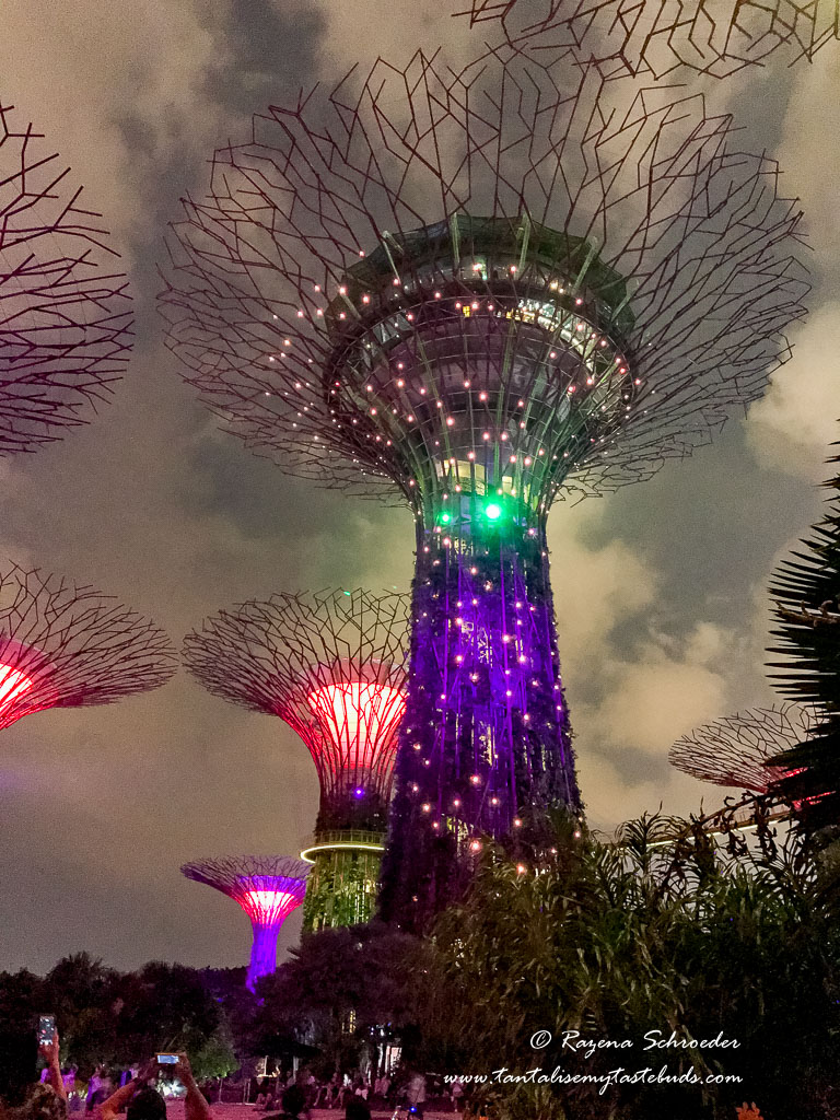 Singapore Gardens by the Bay - Supertree grove at dusk