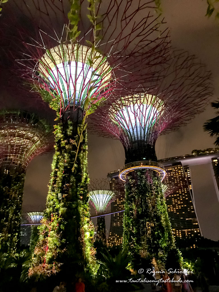 Singapore Gardens by the Bay - Supertree grove
