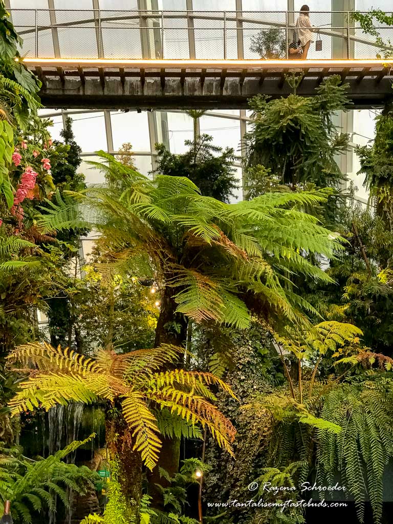 Cloud Forest - Gardens by the Bay