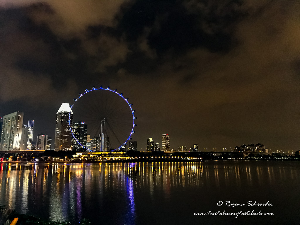 View of Singapore Flyer from Gardens by the Bay